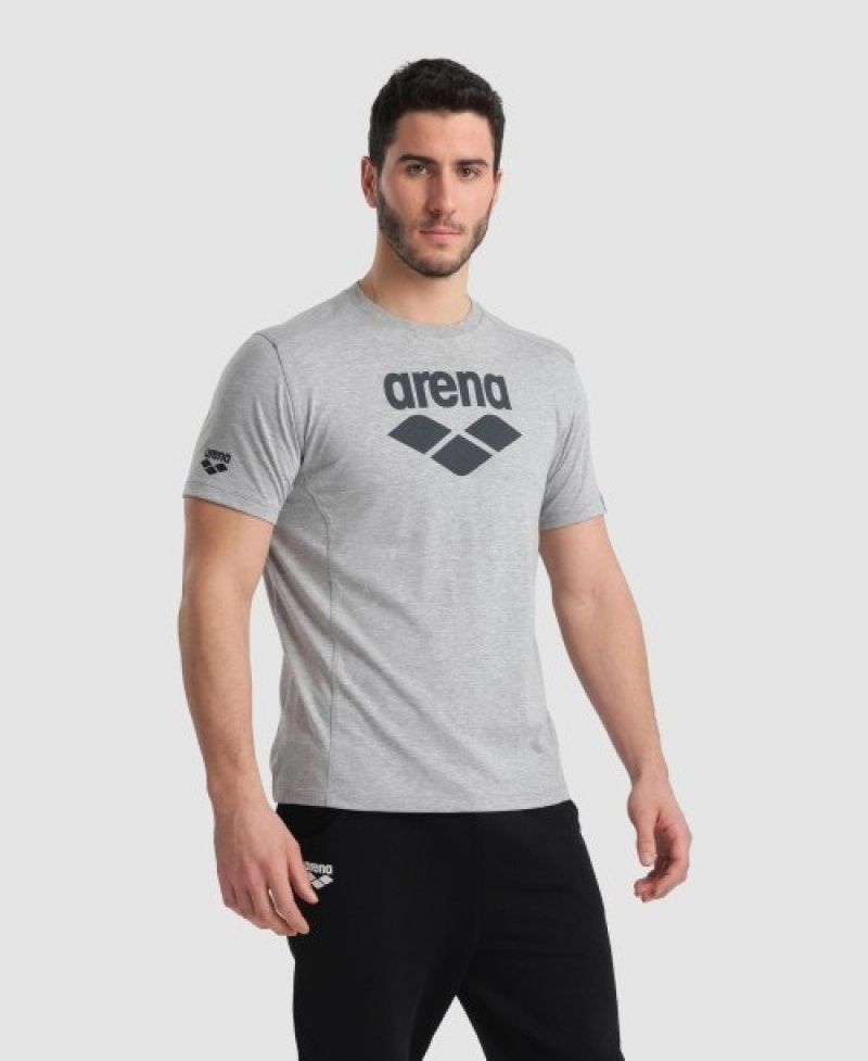 Grey Arena Logo Cotton Men's T Shirts | 45785176