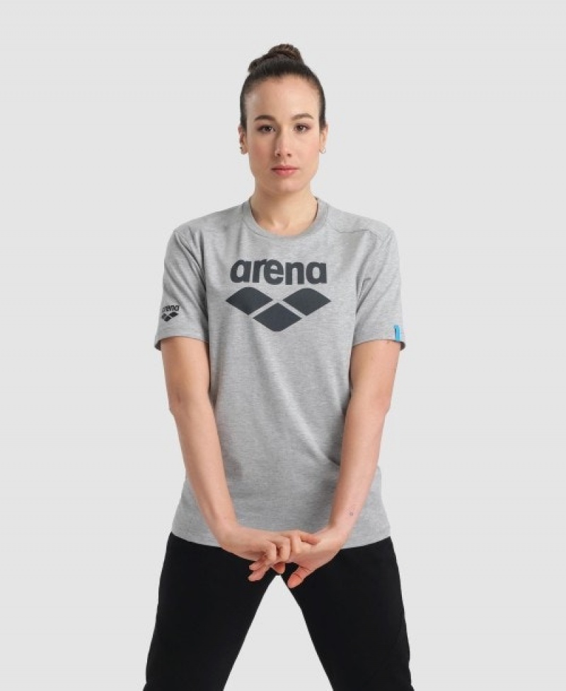 Grey Arena Logo Cotton Men's T Shirts | 45785176