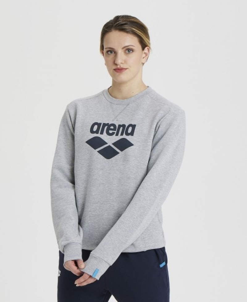 Grey Arena Logo Crewneck Men's Sweatshirts | 82628053