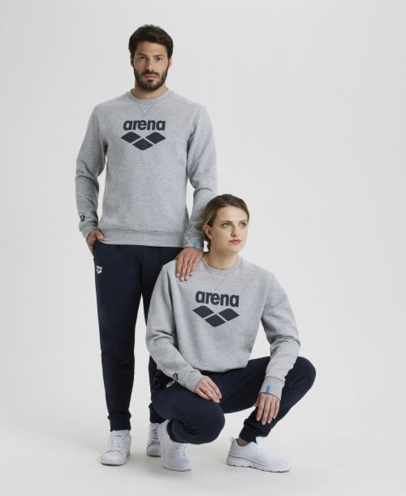 Grey Arena Logo Crewneck Men's Sweatshirts | 82628053