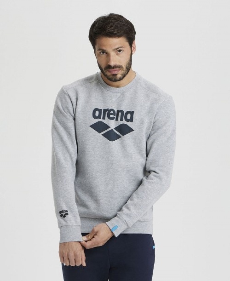 Grey Arena Logo Crewneck Men's Sweatshirts | 82628053