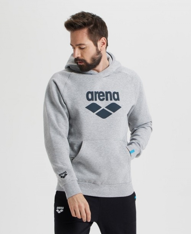 Grey Arena Logo Hooded Men's Sweatshirts | 89806888