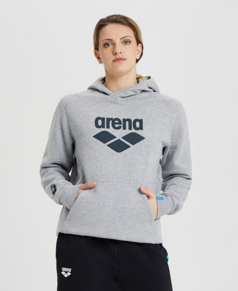 Grey Arena Logo Hooded Men's Sweatshirts | 89806888