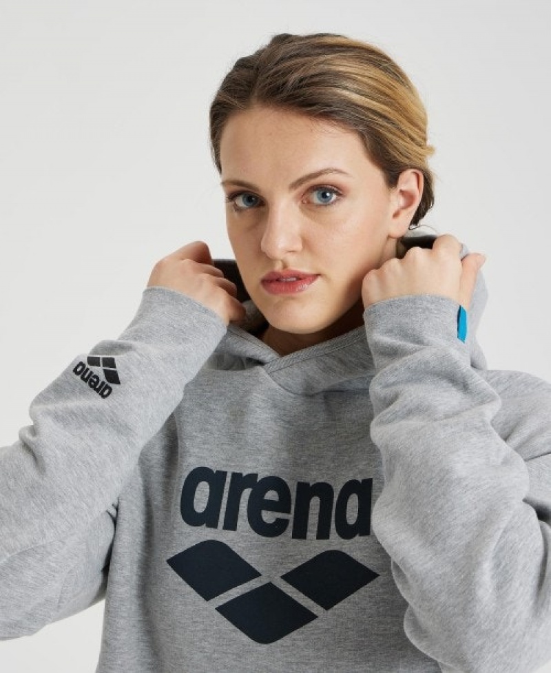 Grey Arena Logo Hooded Men's Sweatshirts | 89806888