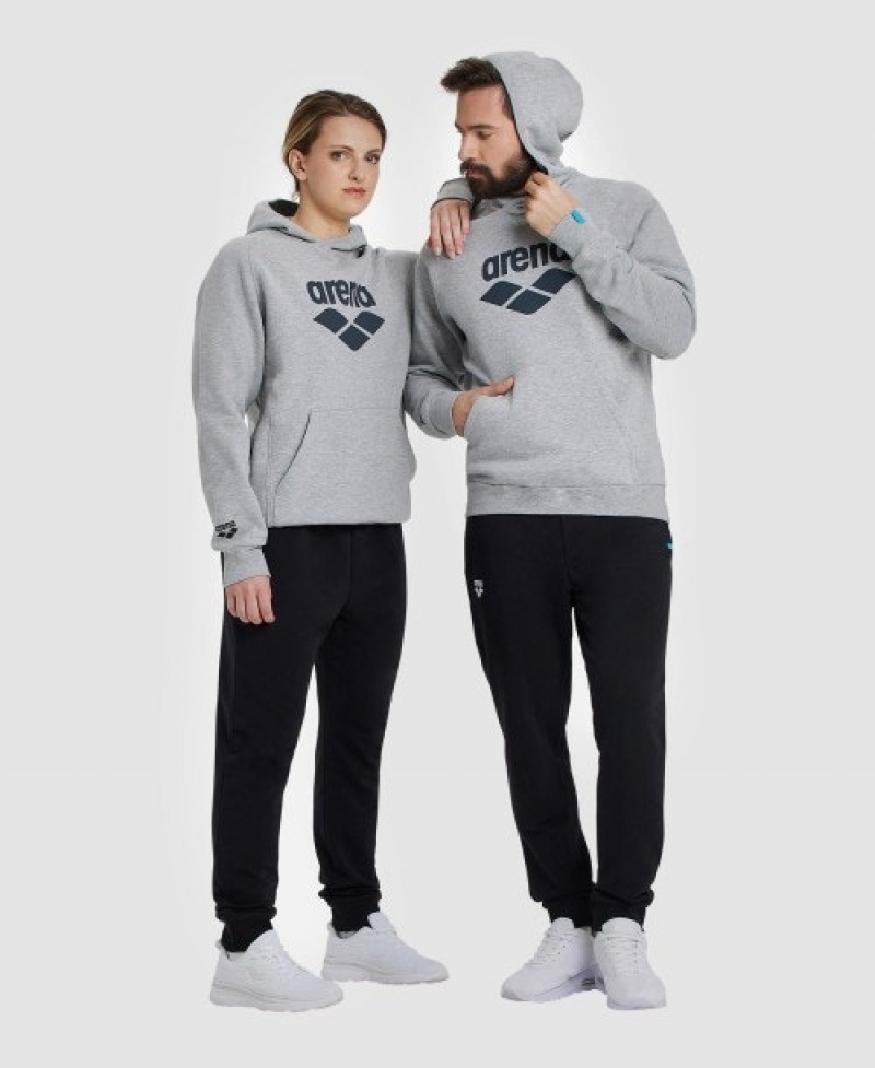 Grey Arena Logo Hooded Men's Sweatshirts | 89806888