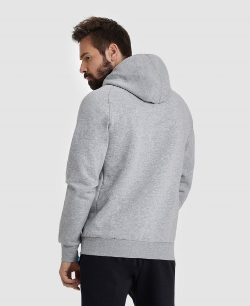 Grey Arena Logo Hooded Men's Sweatshirts | 89806888