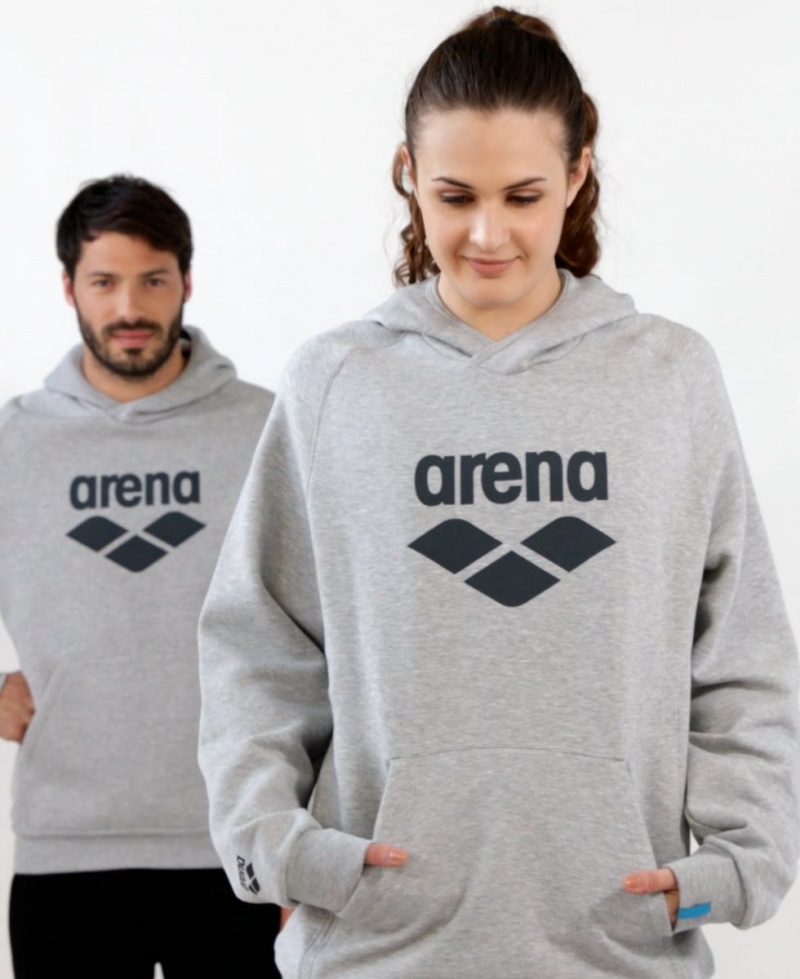 Grey Arena Logo Hooded Women's Sweatshirts | 50840806