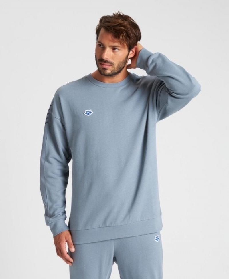 Grey Arena Oversized Team Men's Sweatshirts | 39166503