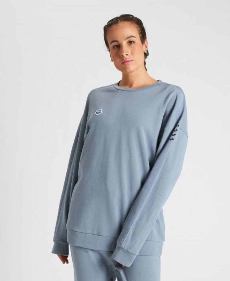 Grey Arena Oversized Team Women's Sweatshirts | 25099673