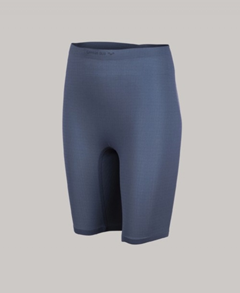 Grey Arena Powerskin Carbon Duo Women's Shorts | 3475910