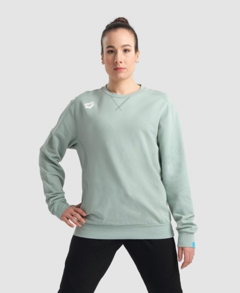 Grey Arena Solid Crewneck Women's Sweatshirts | 19712127