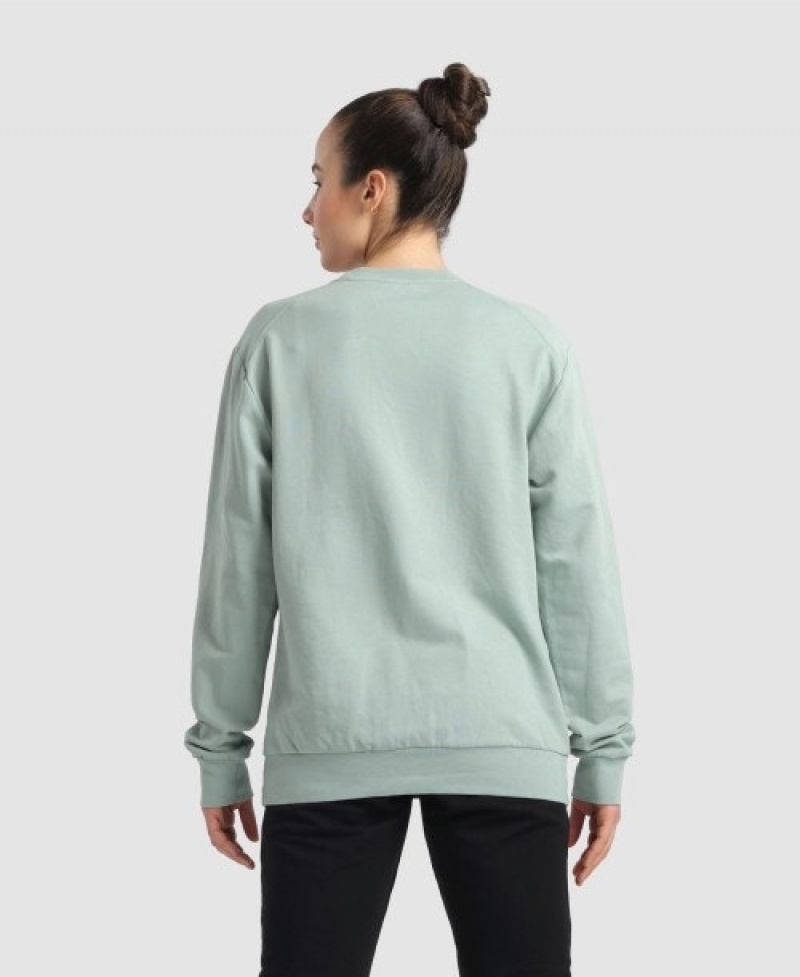 Grey Arena Solid Crewneck Women's Sweatshirts | 19712127