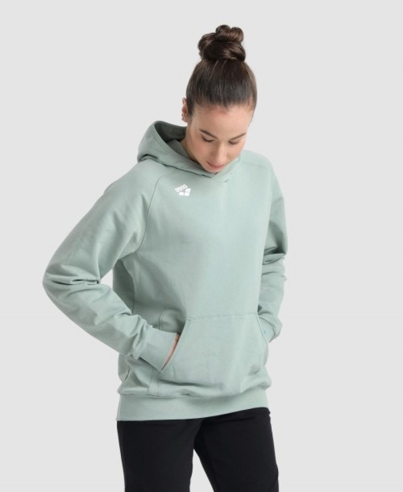 Grey Arena Team Hooded Panel Men's Sweatshirts | 4975647