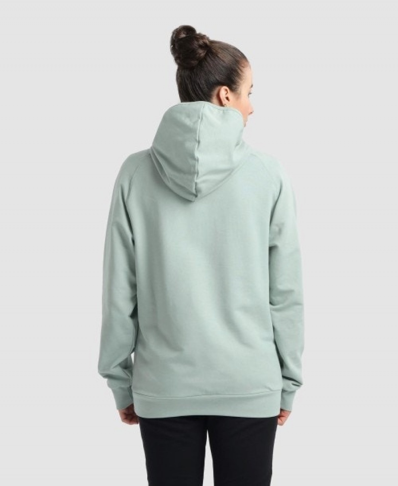 Grey Arena Team Hooded Panel Men's Sweatshirts | 4975647