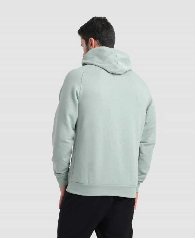 Grey Arena Team Hooded Panel Men's Sweatshirts | 4975647