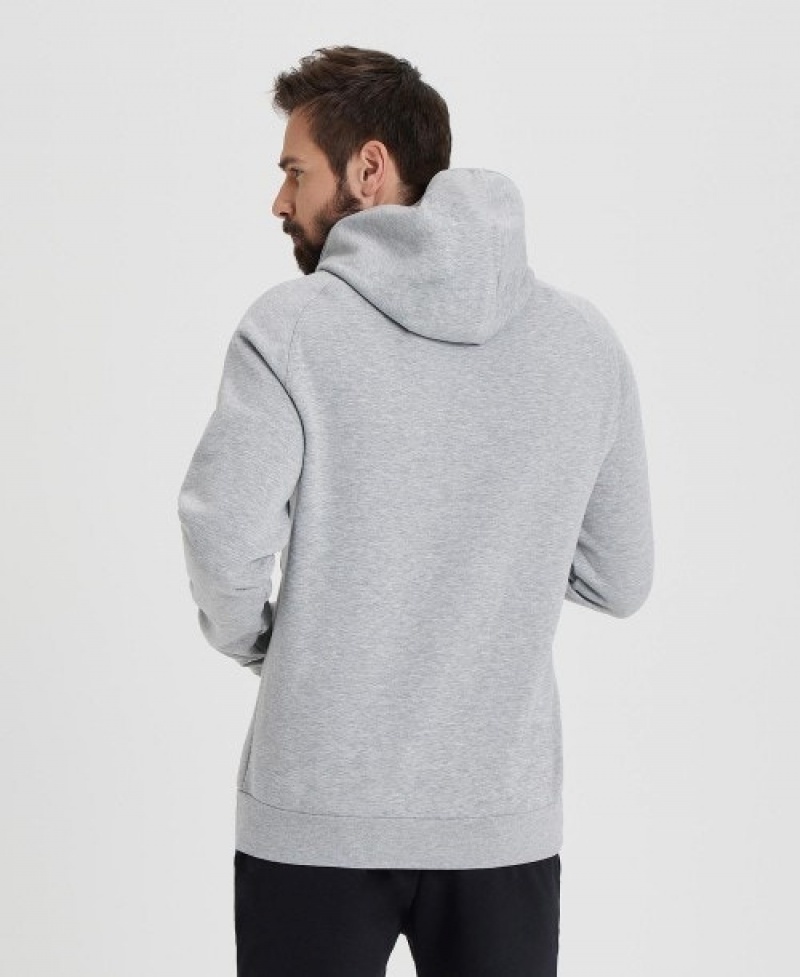 Grey Arena Team Hooded Panel Men's Sweatshirts | 25995657