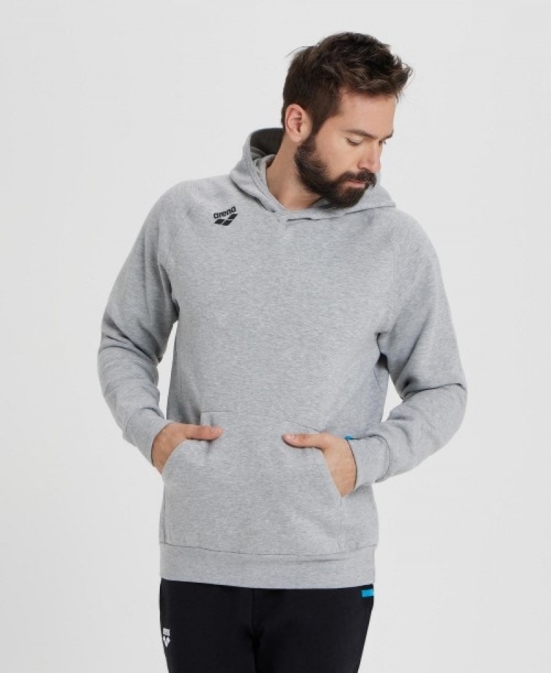 Grey Arena Team Hooded Panel Men's Sweatshirts | 25995657