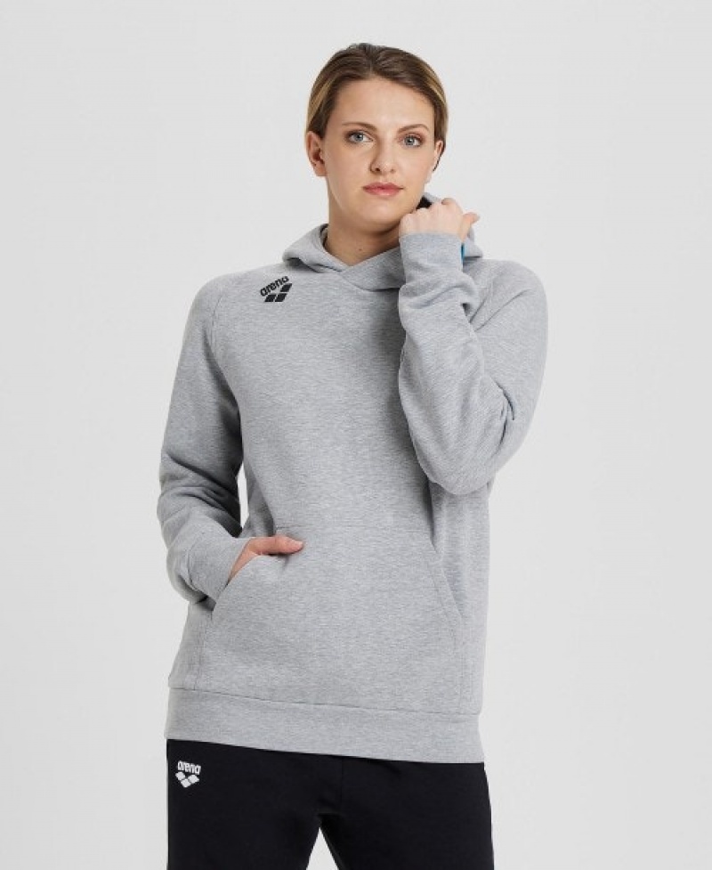 Grey Arena Team Hooded Panel Men's Sweatshirts | 25995657