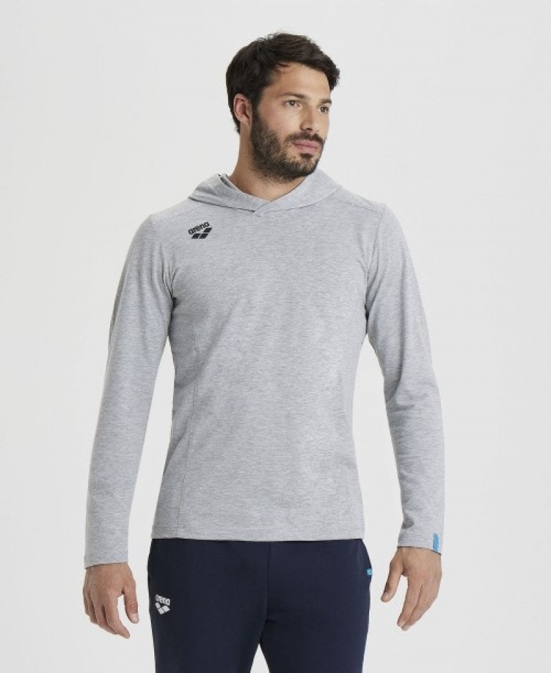 Grey Arena Team Hooded Panel Men's T Shirts | 64131334