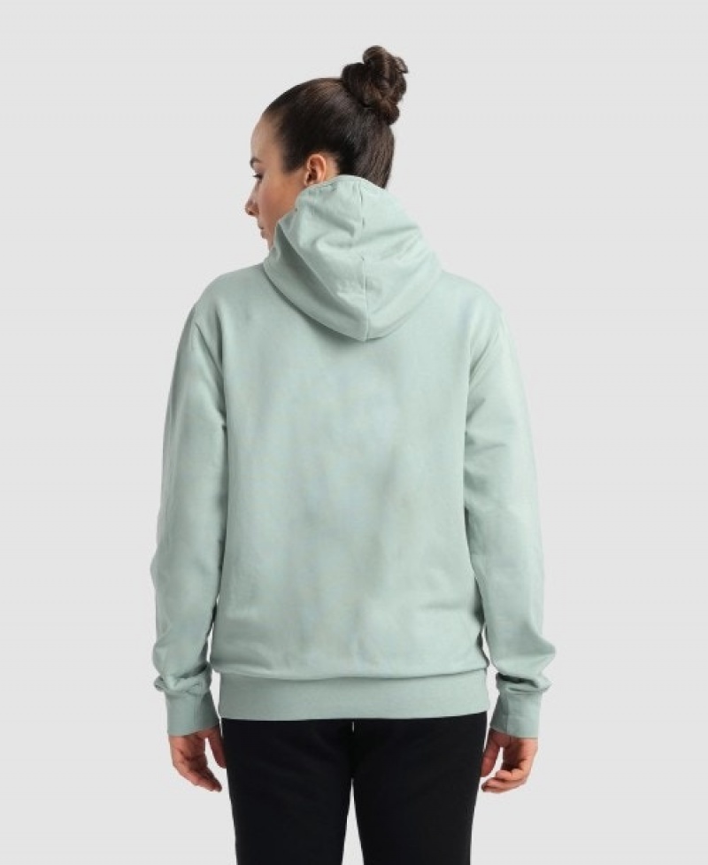 Grey Arena Team Hooded Panel Women's Jackets | 7091801