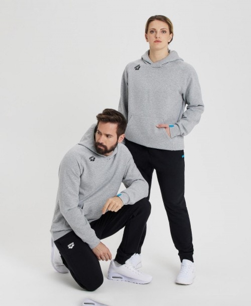 Grey Arena Team Hooded Panel Women's Sweatshirts | 17800597