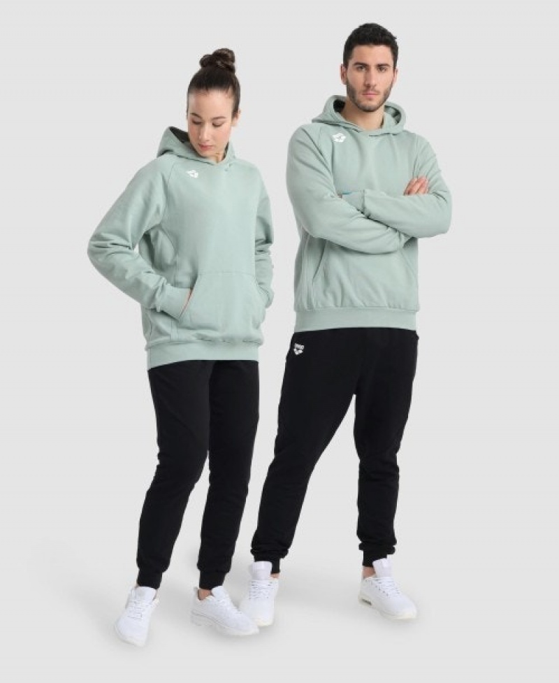 Grey Arena Team Hooded Panel Women's Sweatshirts | 6244743