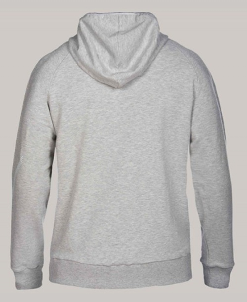 Grey Arena Team Line Hoody Men's Sweatshirts | 37743109