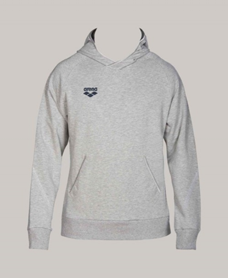 Grey Arena Team Line Hoody Men's Sweatshirts | 37743109