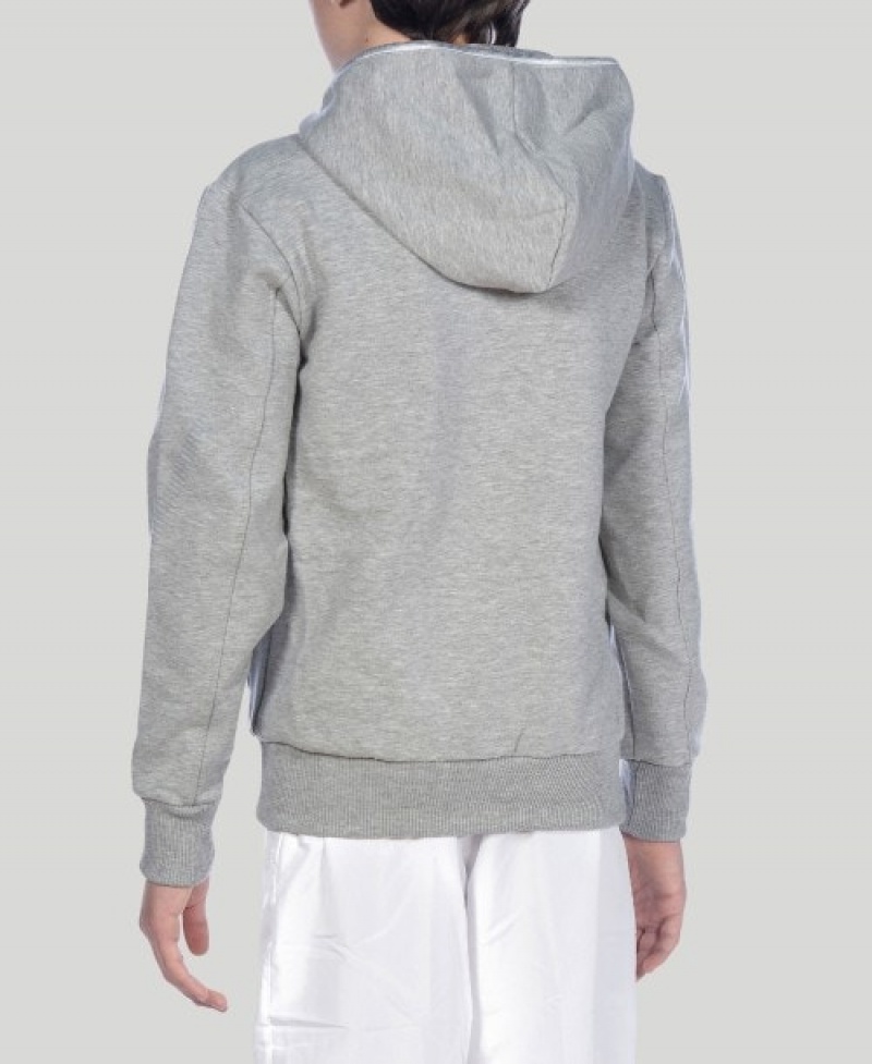 Grey Arena Team Line L/S Boys' Hoodie | 98780939