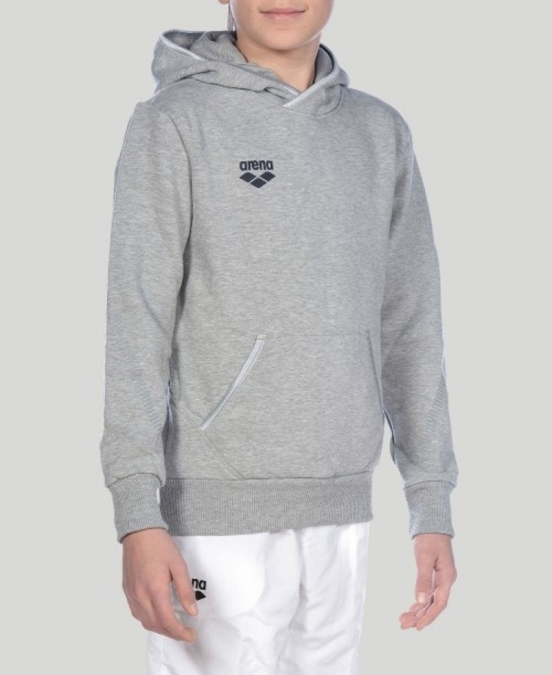 Grey Arena Team Line L/S Boys' Hoodie | 98780939