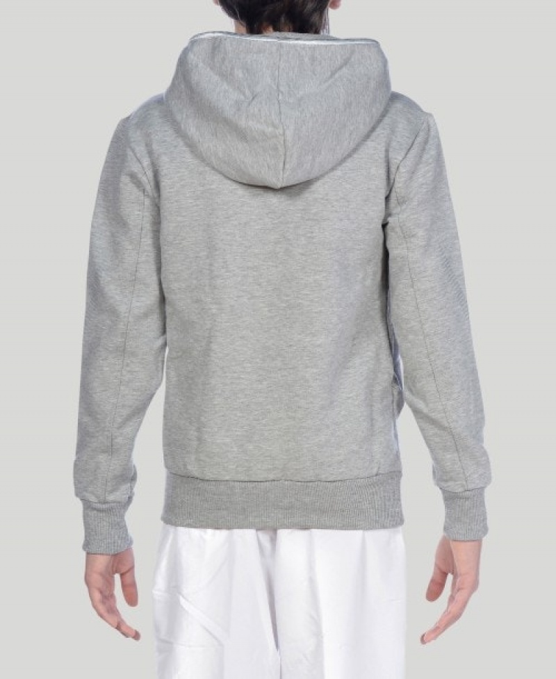 Grey Arena Team Line L/S Boys' Hoodie | 98780939