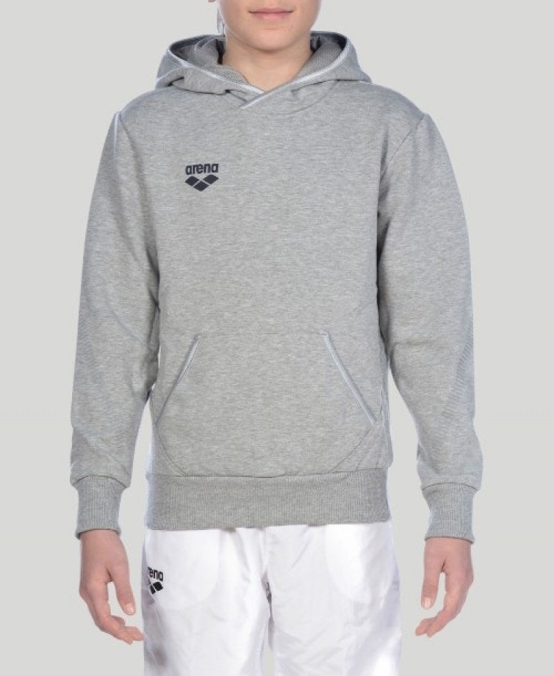 Grey Arena Team Line L/S Boys' Hoodie | 98780939