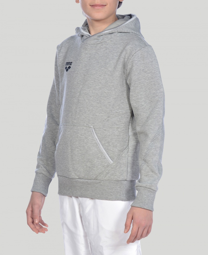 Grey Arena Team Line L/S Boys\' Hoodie | 98780939