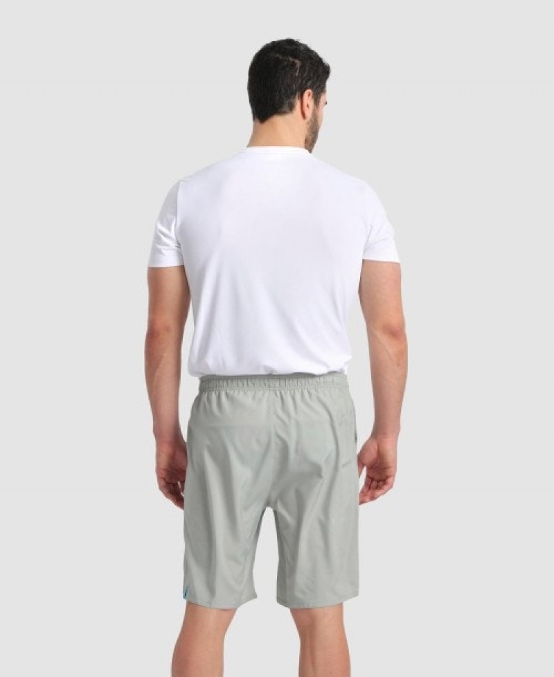 Grey Arena Team Men's Shorts | 25680597