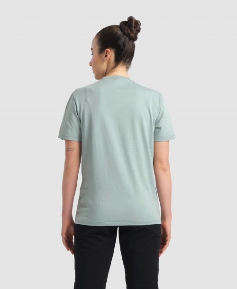 Grey Arena Team Panel Women's T Shirts | 83387987