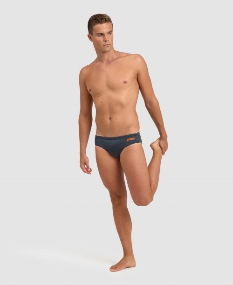 Grey Arena Team Solid Men's Briefs | 10458673