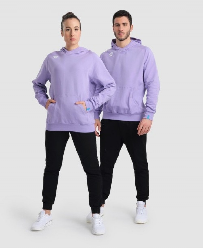 Lavender Arena Team Hooded Panel Men's Sweatshirts | 75697570