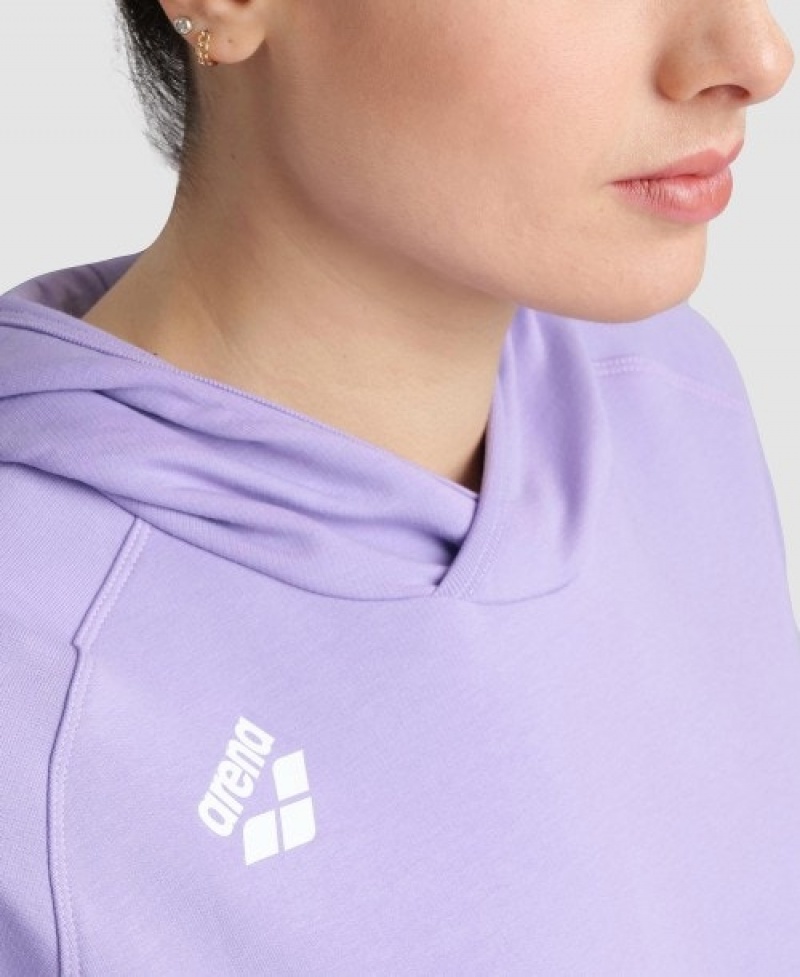 Lavender Arena Team Hooded Panel Men's Sweatshirts | 75697570