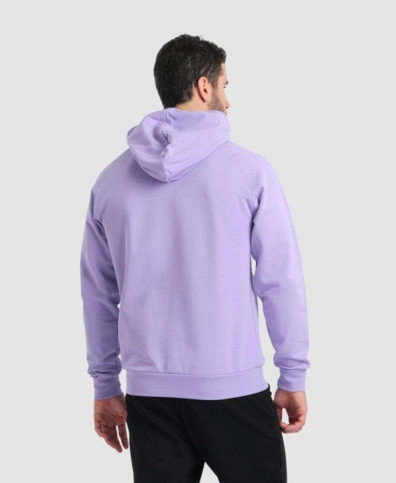 Lavender Arena Team Hooded Panel Men's Sweatshirts | 75697570