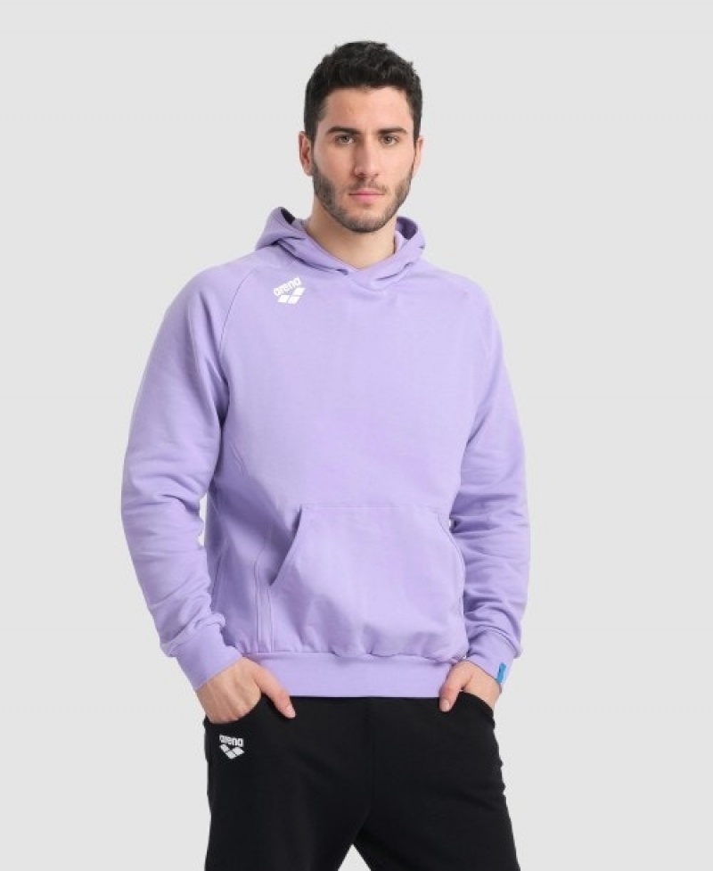 Lavender Arena Team Hooded Panel Men's Sweatshirts | 75697570