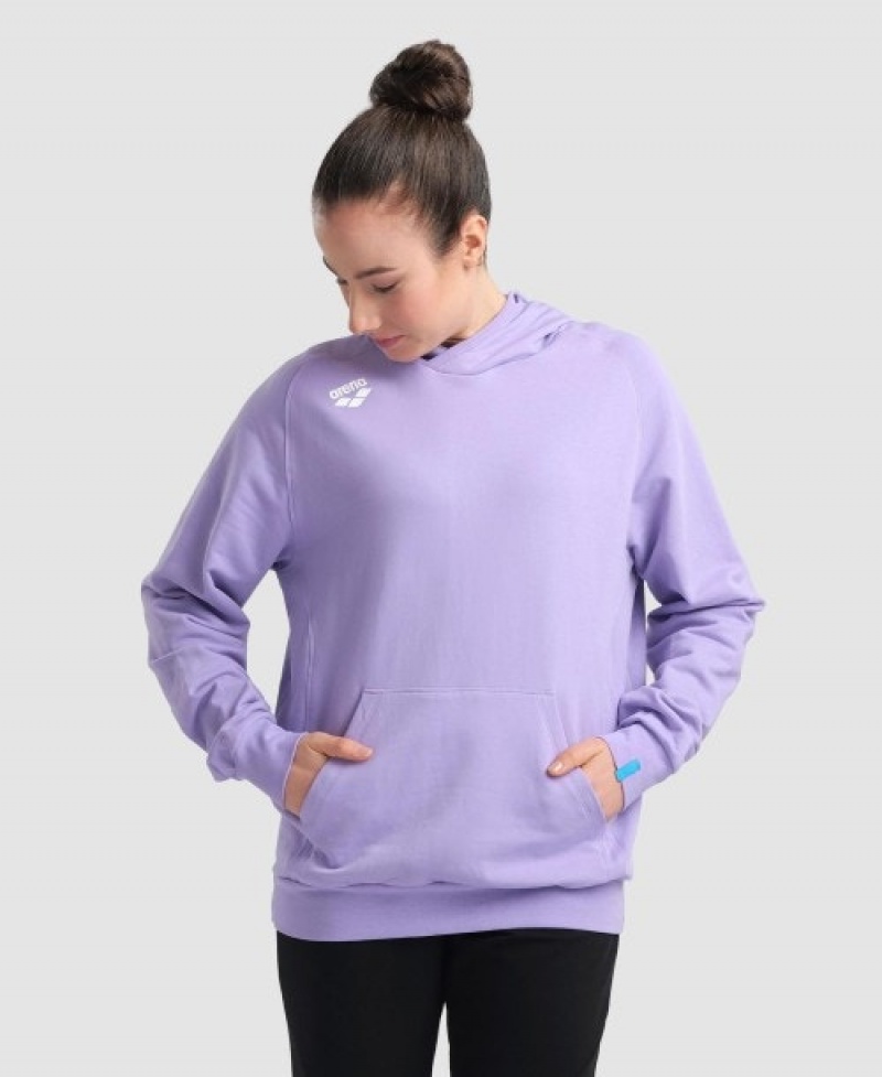 Lavender Arena Team Hooded Panel Men's Sweatshirts | 75697570