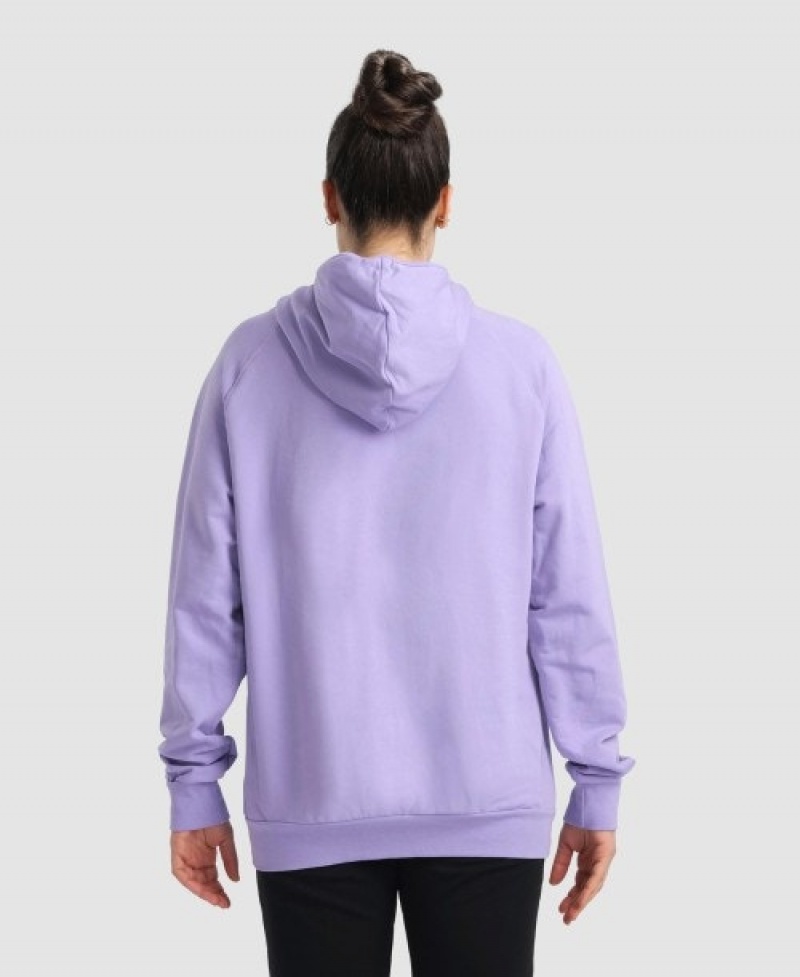 Lavender Arena Team Hooded Panel Men's Sweatshirts | 75697570