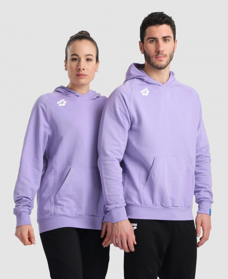 Lavender Arena Team Hooded Panel Men\'s Sweatshirts | 75697570