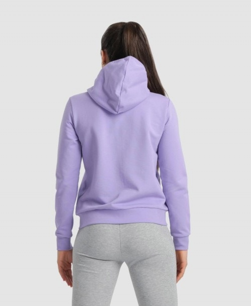 Lavender Arena Team Hooded Panel Women's Jackets | 45818818