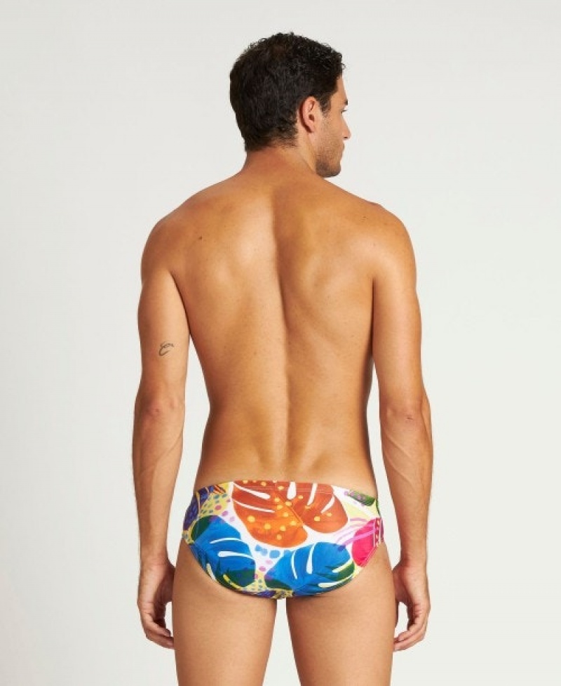 Multicolor Arena Tropics Men's Briefs | 5550857