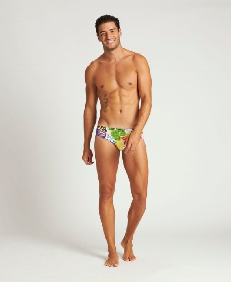 Multicolor Arena Tropics Men's Briefs | 5550857