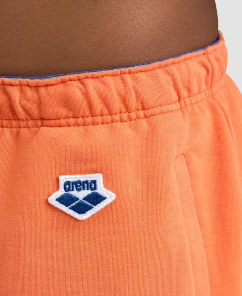 Orange Arena Icons Women's Shorts | 25257765