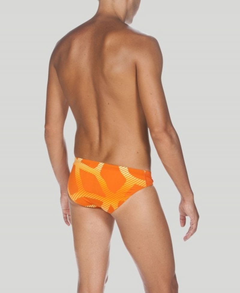 Orange Arena Spider Men's Briefs | 10005837