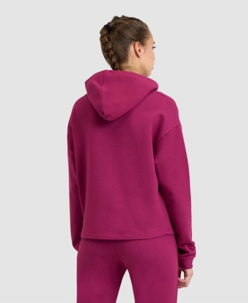 Purple Arena Hooded Fleece Women's Sweatshirts | 9899264