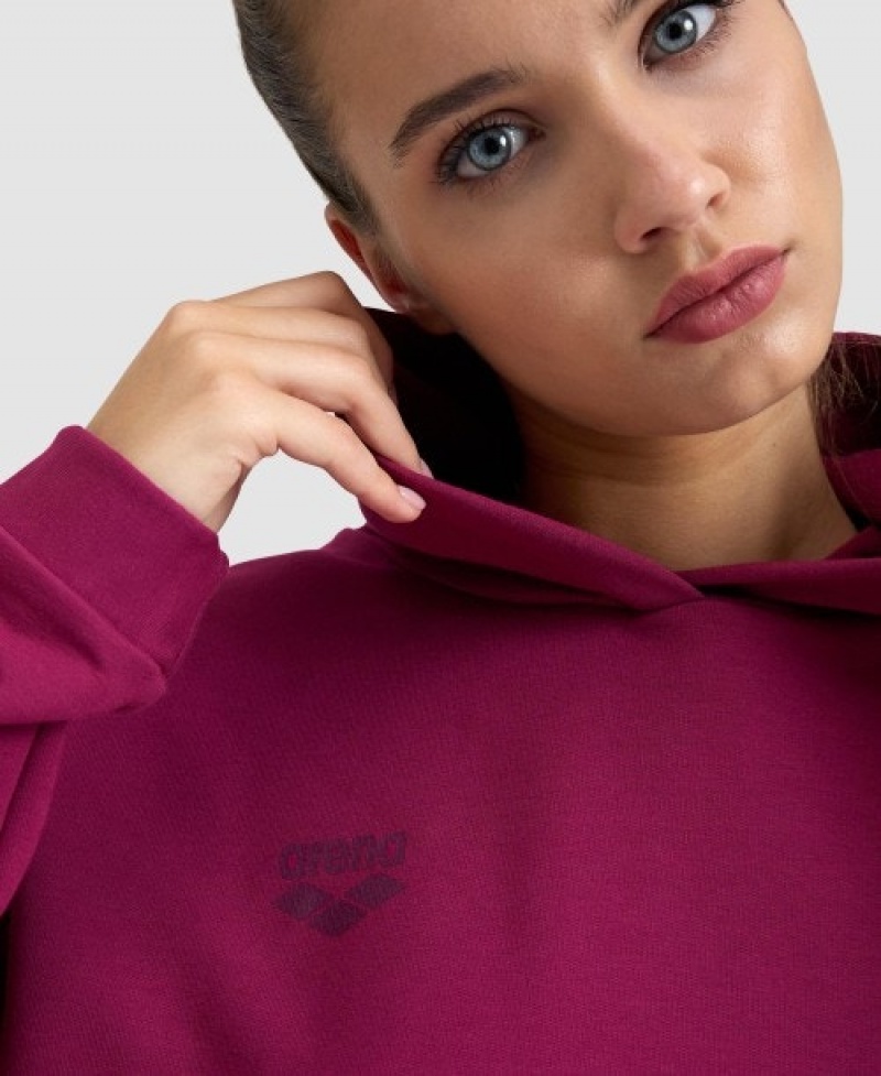 Purple Arena Hooded Fleece Women's Sweatshirts | 9899264